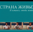 Онлайн-вебинар  «Преодоление созависимости» - Газета Щекинский вестник