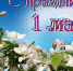 С 1 Мая! - Газета Щекинский вестник