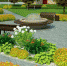 В Щекино завершился сбор предложений по благоустройству городского центра - Газета Щекинский вестник